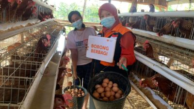 Harga Telur Anjlok, Rumah Zakat Borong Ratusan Butir Telur Dari Peternak