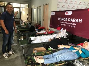 Compress_20241123_141518_8713