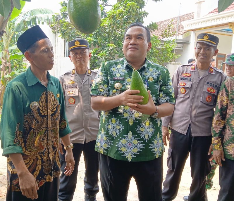 Foto Istimewa 
