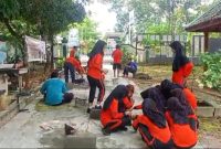 Foto Istimewa.