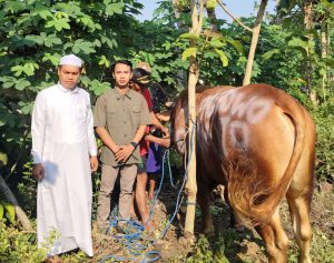 Compress_20250607_080113_3860