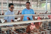Edi Arta, Field Official Relation Comrel and CID PEPC Zona 12 bersama Kepala Desa Kaliombo Rohmad Edi Susanto di kandang ayam petelor BUMDes setempat.