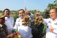 Foto istimewa.