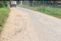 Kondisi jalan Desa Puledagel sampai Desa Bacem Kecamatan Jepon, foto : Solikin.