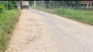 Screenshot_2025-11-29-11-07-10-912-edit_com.whatsapp